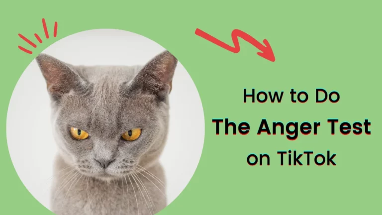 Как пройти тест на гнев в TikTok за 9 простых шагов?