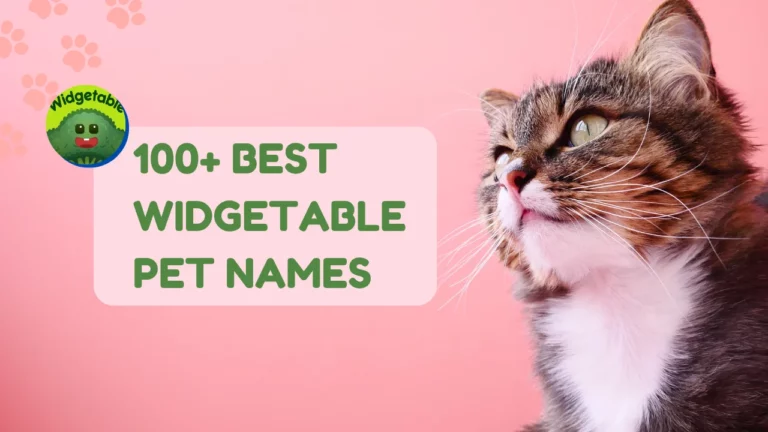 100+ лучших имен домашних животных с виджетами: Pawsitively Adorable