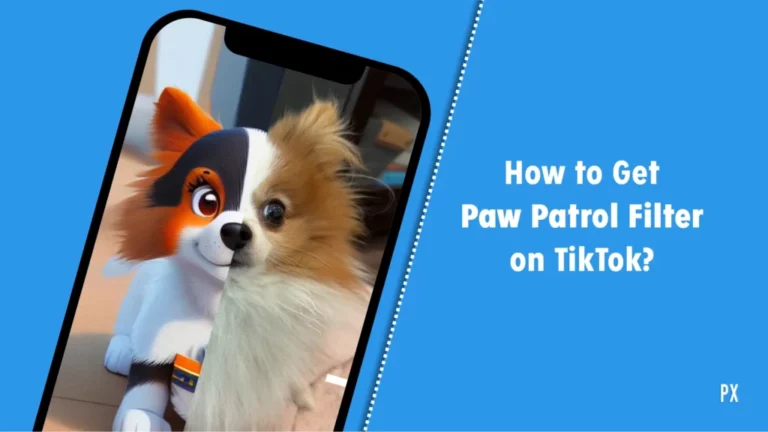 Как получить Paw Patrol Filter на TikTok за 7 простых шагов?