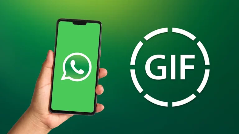 GIF не работает в WhatsApp?  Вот как это исправить!  (100% работает)