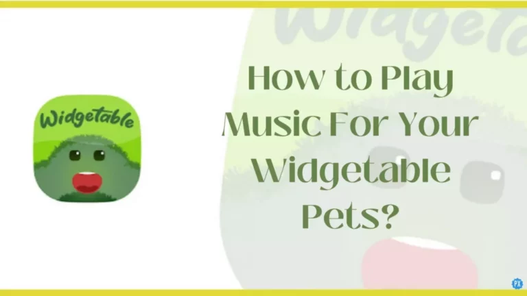 Как воспроизводить музыку для ваших домашних животных с виджетами?  Пошаговое руководство!
