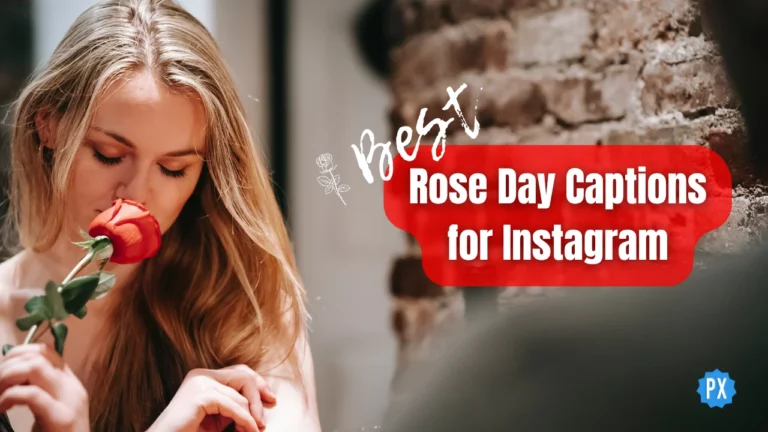 120 лучших подписей ко Дню роз для Instagram: вырази себя, RN🌹